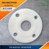 Mặt Bích PVDF
