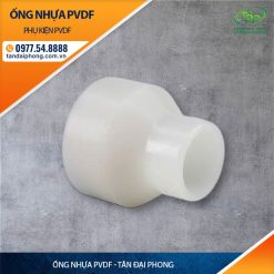 Nối Giảm PVDF