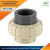 Rắc Co Chuyển Đổi Ống Nhựa PPH/PVC/UPVC/PVDF