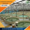 Bồn Bể Nuôi Thủy Sản Nhựa PP, PE