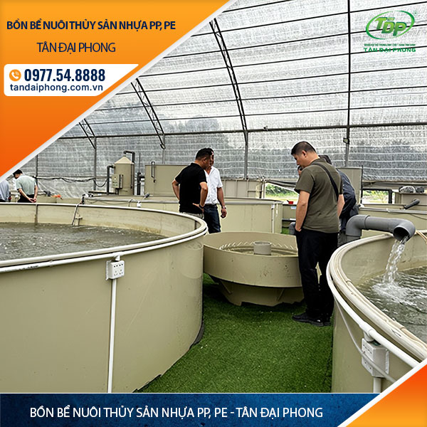 Bồn Bể Nuôi Thủy Sản Nhựa PP, PE