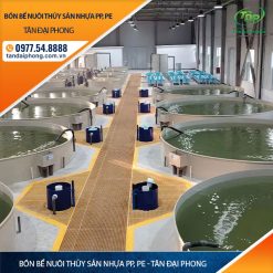 Bồn Bể Nuôi Thủy Sản Nhựa PP, PE