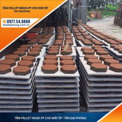 Tấm Pallet Nhựa PP