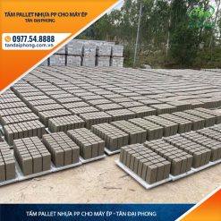 Tấm Pallet Nhựa PP