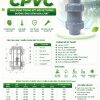 Van 1 Chiều 2 Đầu Rắc Co Nhựa CPVC