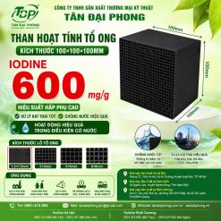 Than Hoạt Tính Tổ Ong 100×100×100mm Iodine 600mg/g