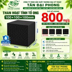 Than Hoạt Tính Tổ Ong 100×100×100mm Iodine 800mg/g